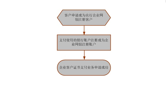 办理流程：