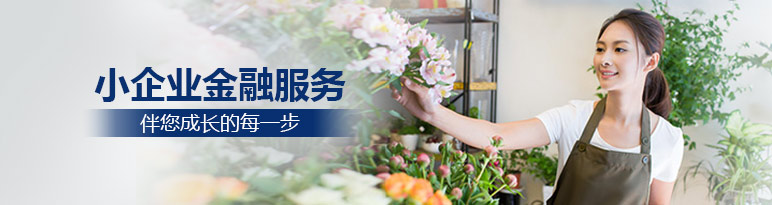 小企业金融服务