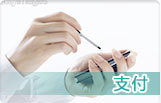 支付.jpg