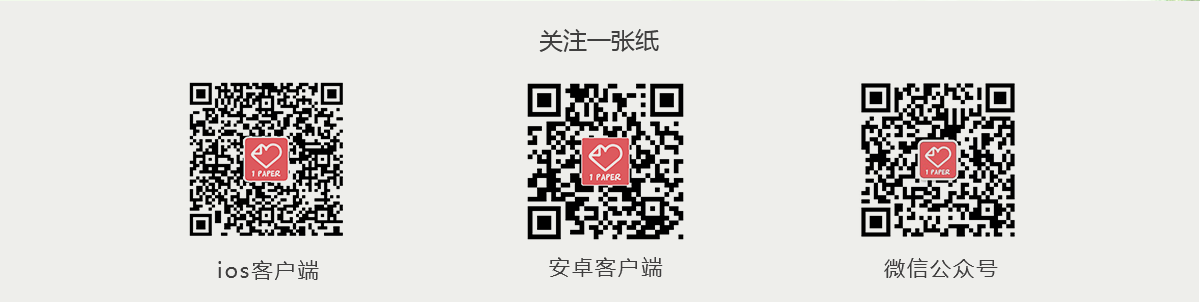 关注一张纸