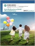 2013 Annual Report